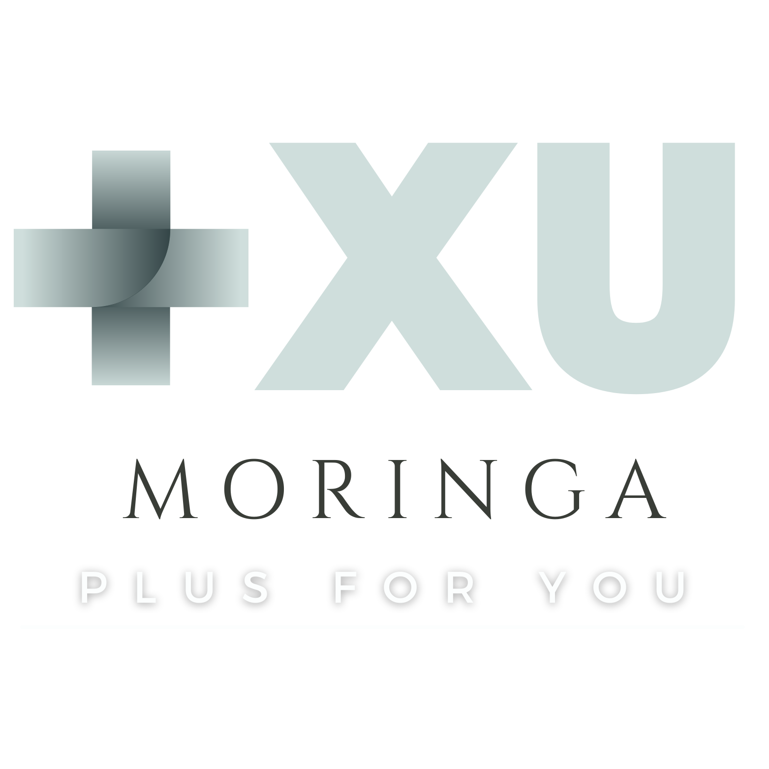 Moringa Plus for you